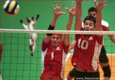 sport