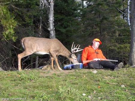 Chasseur