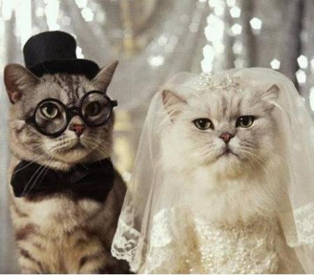 mariage