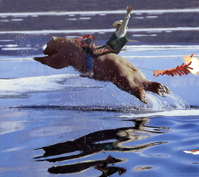 l'ours