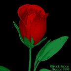 L'Amour