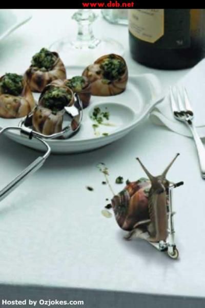 escargo